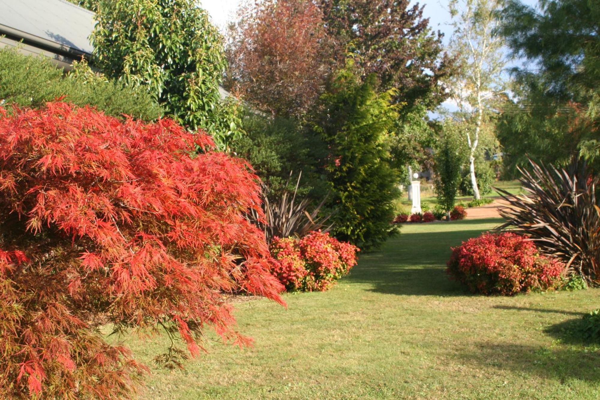 Delderfield Villas Marysville Kültér fotó